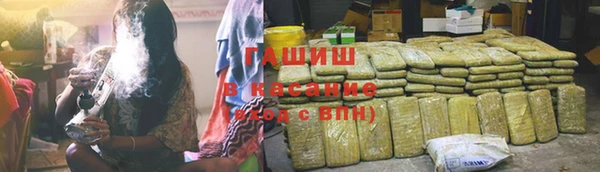 сатива Алзамай