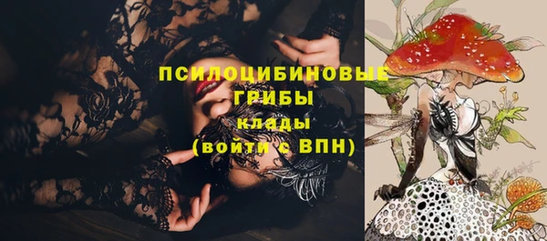 2c-b Абаза